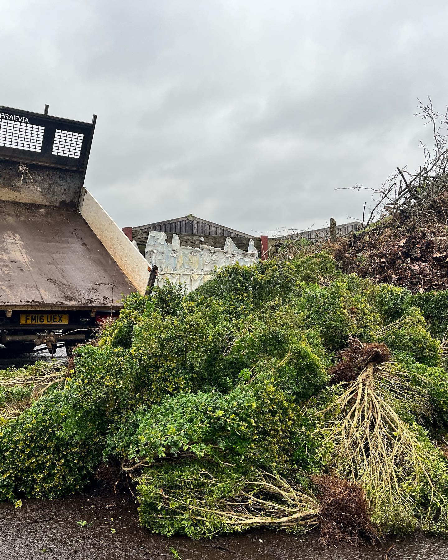 commercial-green-waste-cheshire-green-waste-nw-book-now