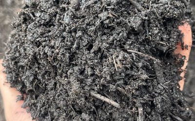 Go Green with Wholesale Peat-Free Compost