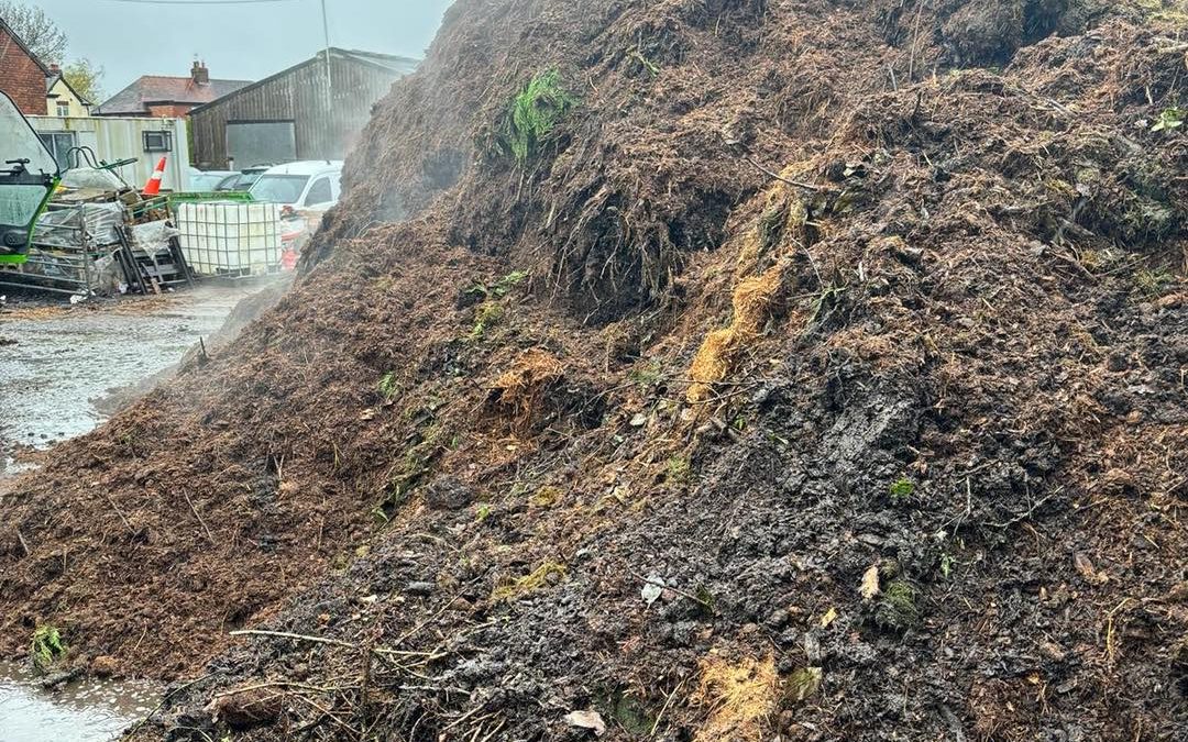 How to Choose the Right Peat-Free Compost for Your Business